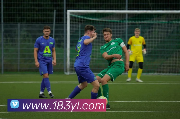 奖项证书